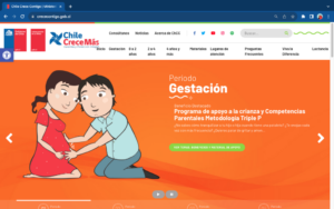 ministerio-chile-programador-1024x640